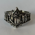 Anillo Catedral